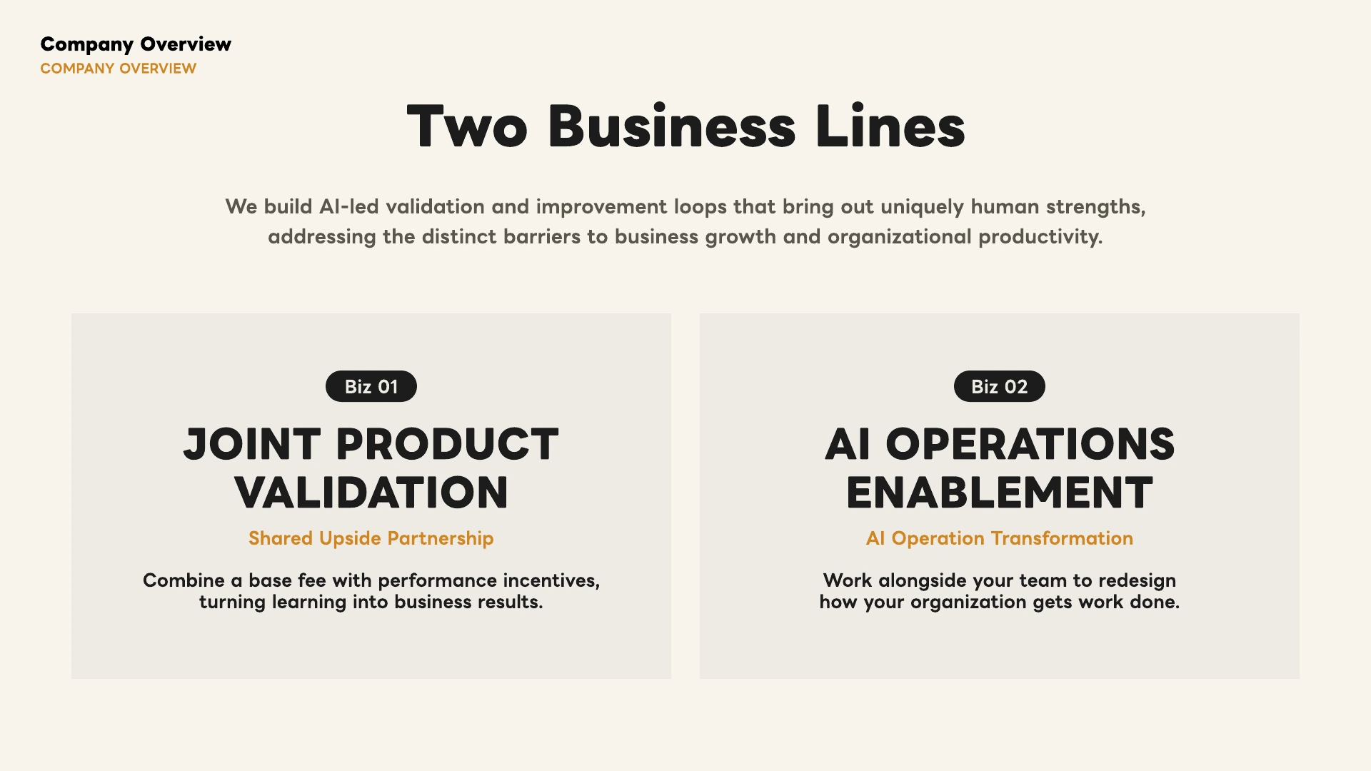 Two business lines: Joint Product Validation and AI Operations Enablement.